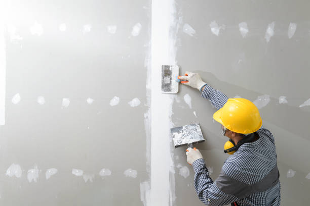 Professional Painting & Drywall Installation in Millwood, WA